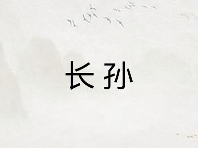 长孙