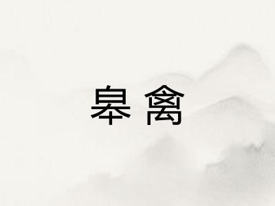 皋禽