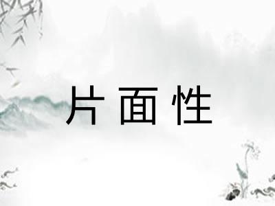 片面性