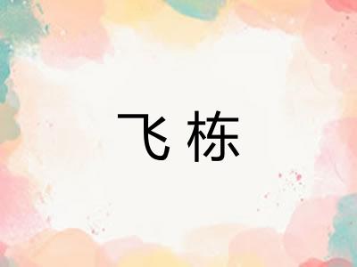 飞栋