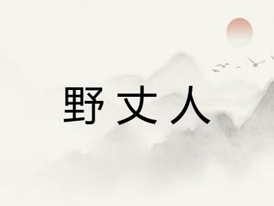 野丈人