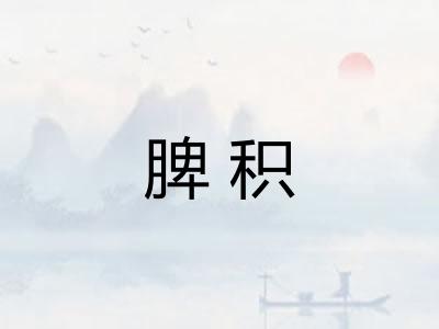 脾积