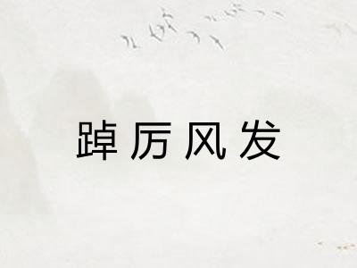 踔厉风发