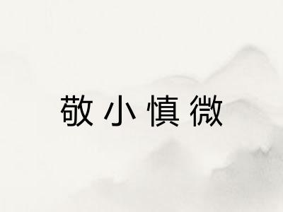 敬小慎微