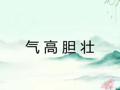气高胆壮