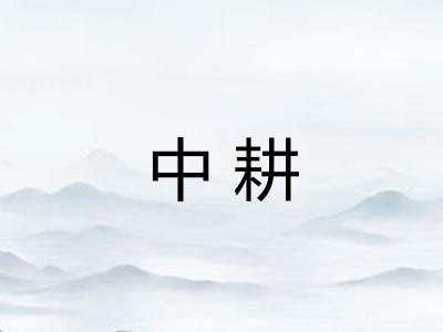 中耕