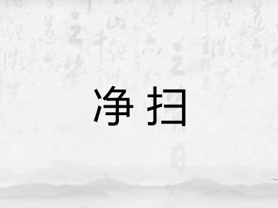 净扫