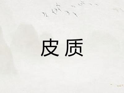 皮质