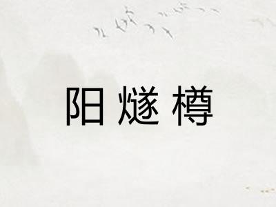阳燧樽