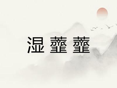 湿虀虀