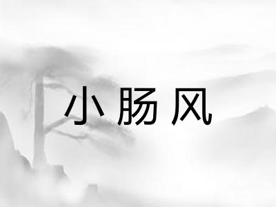 小肠风
