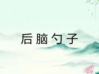 后脑勺子