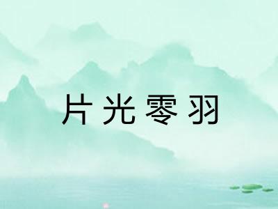 片光零羽