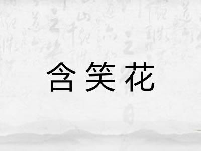 含笑花