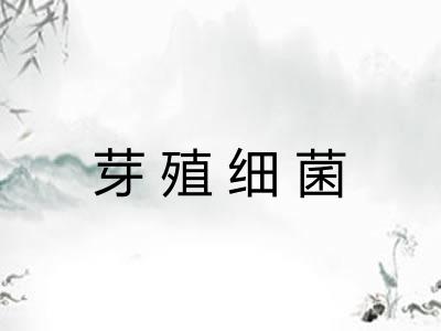 芽殖细菌