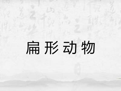 扁形动物