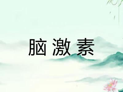 脑激素