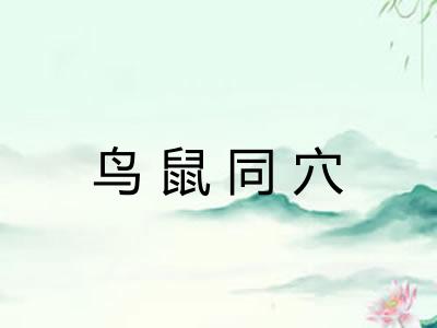 鸟鼠同穴