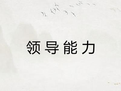 领导能力