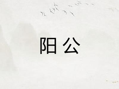 阳公