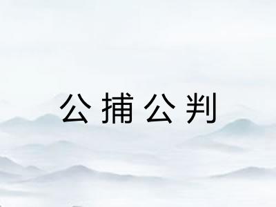 公捕公判