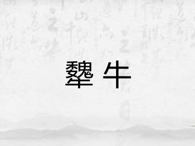 犩牛