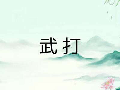 武打