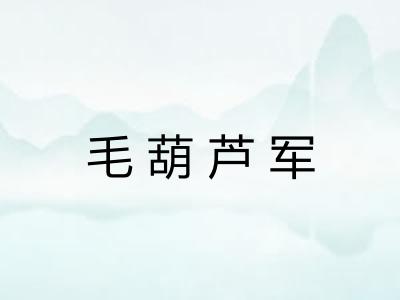 毛葫芦军