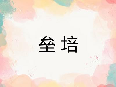垒培