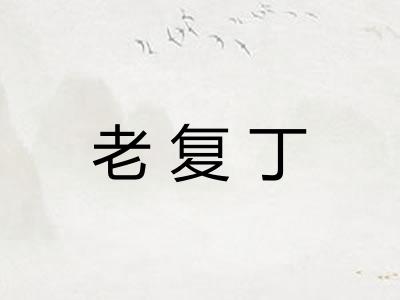 老复丁