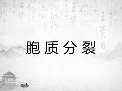 胞质分裂