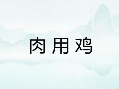 肉用鸡