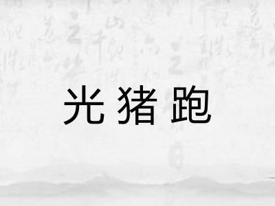 光猪跑