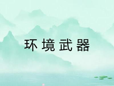环境武器