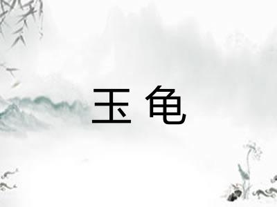 玉龟