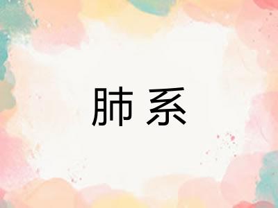 肺系