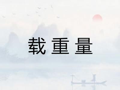 载重量