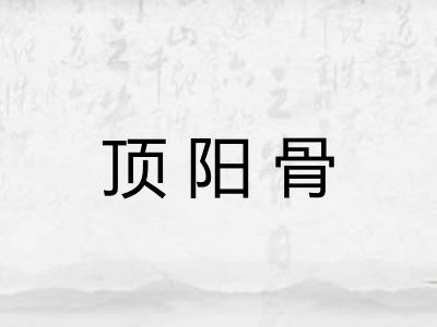 顶阳骨