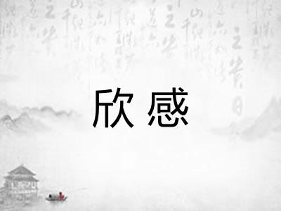 欣感