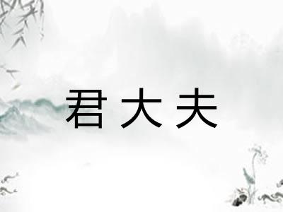 君大夫