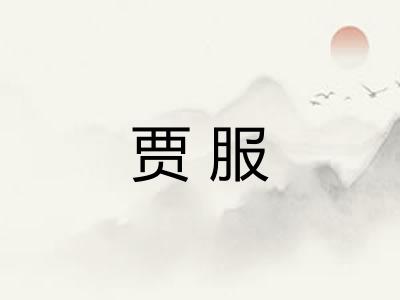 贾服