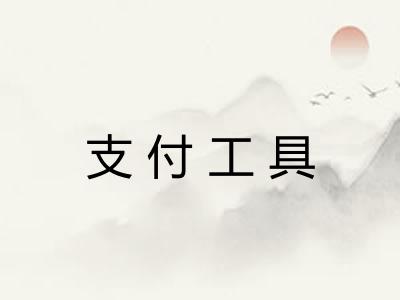 支付工具