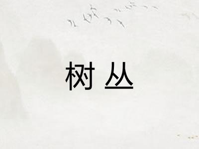 树丛