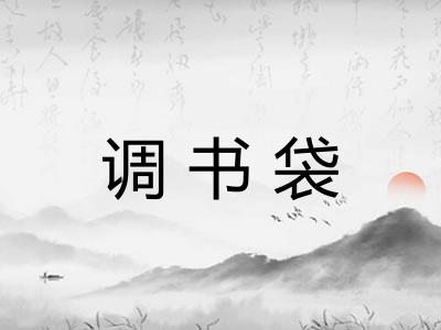 调书袋