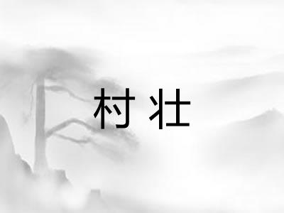 村壮