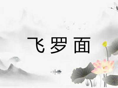 飞罗面