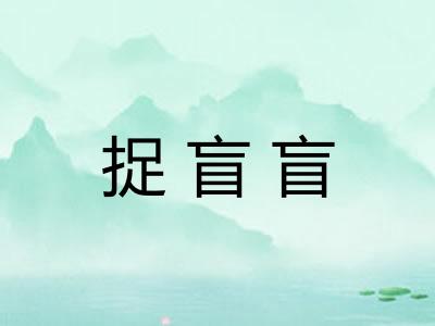 捉盲盲