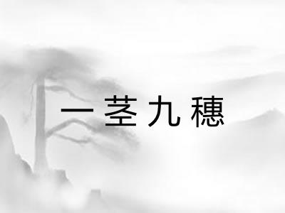 一茎九穗
