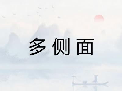 多侧面