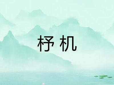 杼机